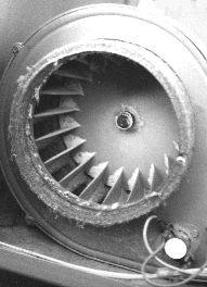 Blower Wheel